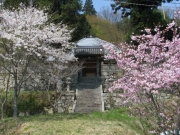 里山の春爛漫